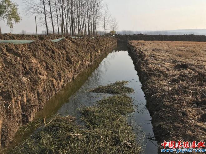 小龍蝦養殖的第一步就是怎么挖塘