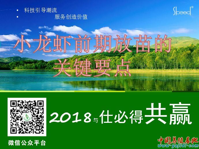 怎么區別好苗差苗?為什么有的人放了小龍蝦苗死亡很大?