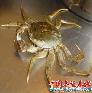 按此在新窗口瀏覽圖片