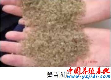 按此在新窗口瀏覽圖片