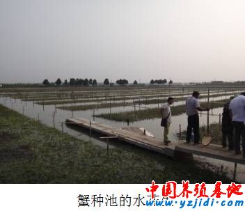 按此在新窗口瀏覽圖片