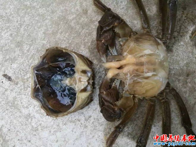 按此在新窗口瀏覽圖片
