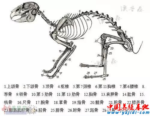 t3.jpg