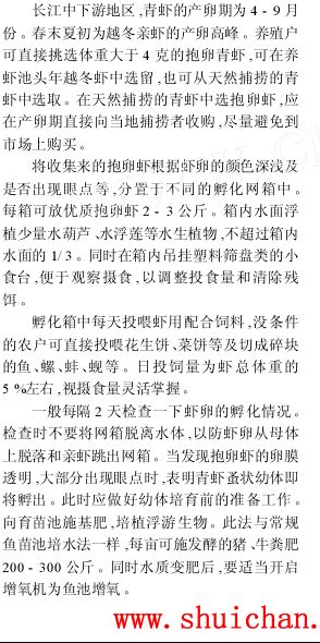 中國養殖基地 yzjidi.com