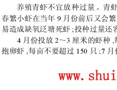 中國養殖基地 yzjidi.com