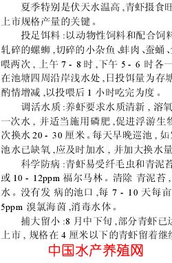 中國養殖基地 yzjidi.com