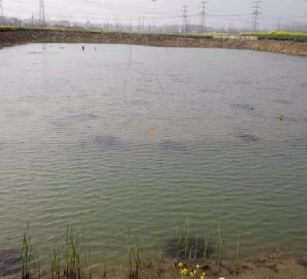 中國養殖基地 yzjidi.com
