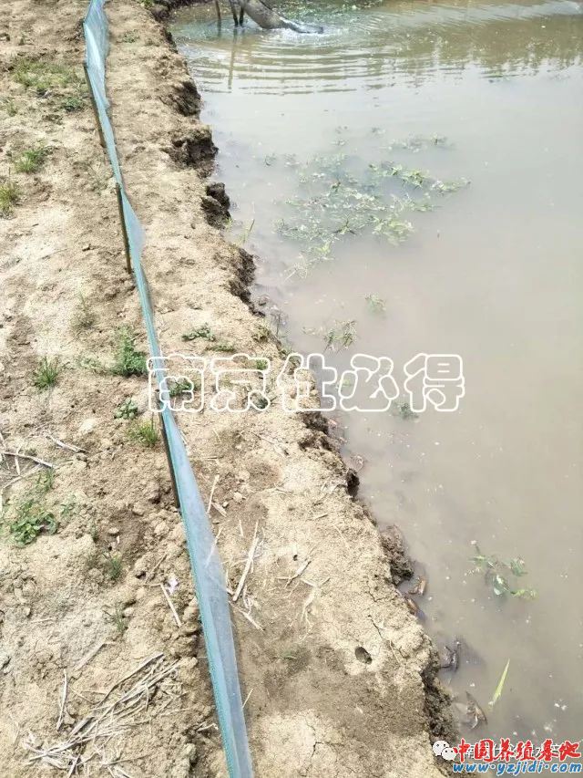 中國養殖基地 yzjidi.com