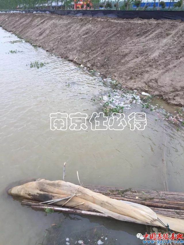 中國養殖基地 yzjidi.com