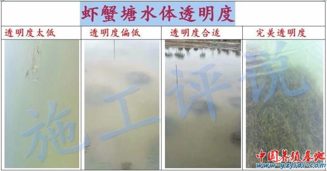 中國養殖基地 yzjidi.com