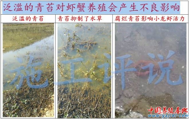 中國養殖基地 yzjidi.com