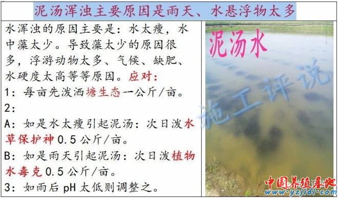 中國養殖基地 yzjidi.com