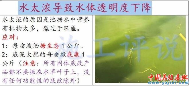 中國養殖基地 yzjidi.com