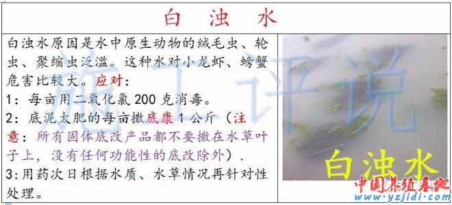 中國養殖基地 yzjidi.com