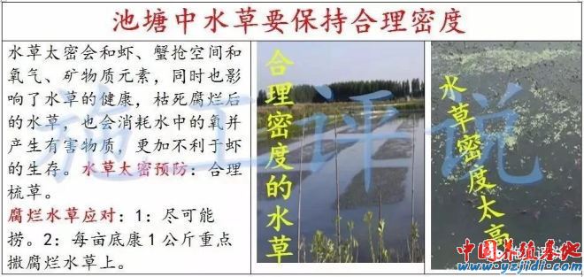 中國養殖基地 yzjidi.com