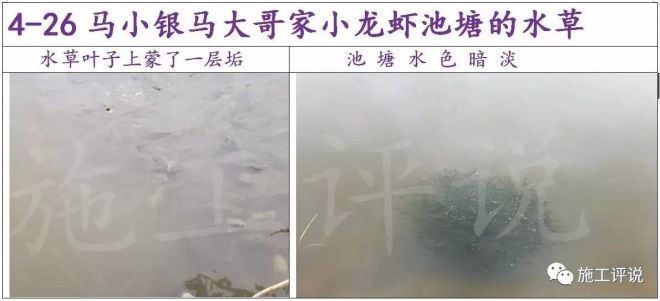 中國養殖基地 yzjidi.com