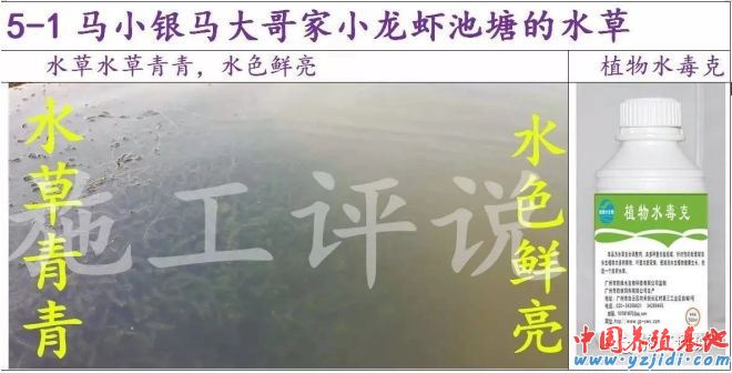 中國養殖基地 yzjidi.com