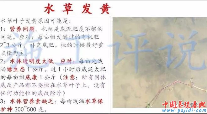 中國養殖基地 yzjidi.com