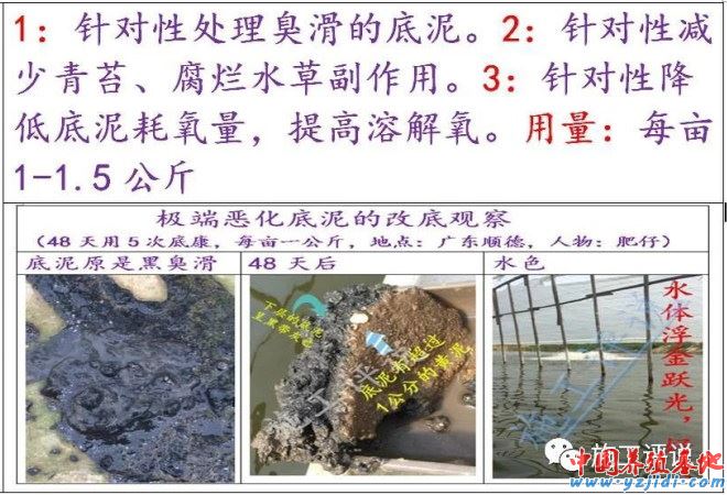 中國養殖基地 yzjidi.com