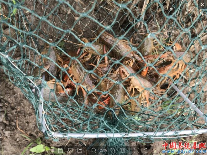 中國養殖基地 yzjidi.com