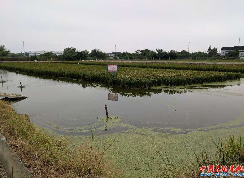 中國養殖基地 yzjidi.com