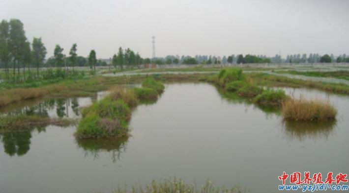 中國養殖基地 yzjidi.com