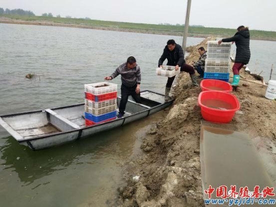 中國養殖基地 yzjidi.com