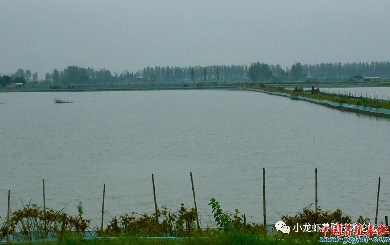 中國養殖基地 yzjidi.com