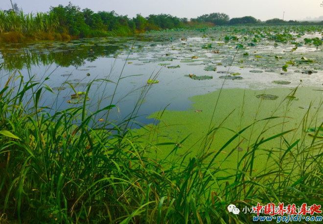 中國養殖基地 yzjidi.com