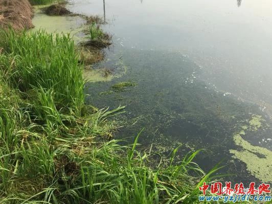 中國養殖基地 yzjidi.com