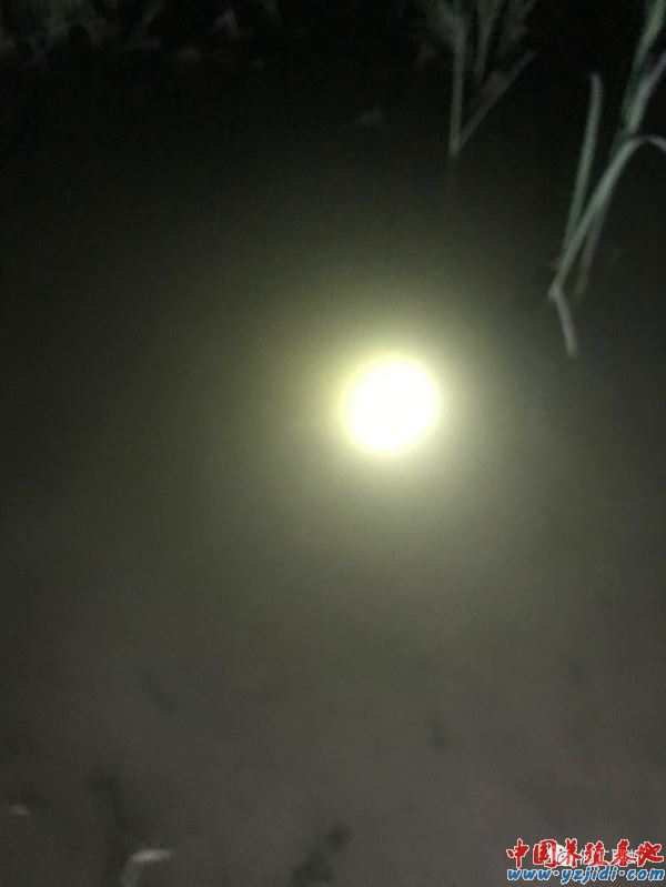 中國養殖基地 yzjidi.com