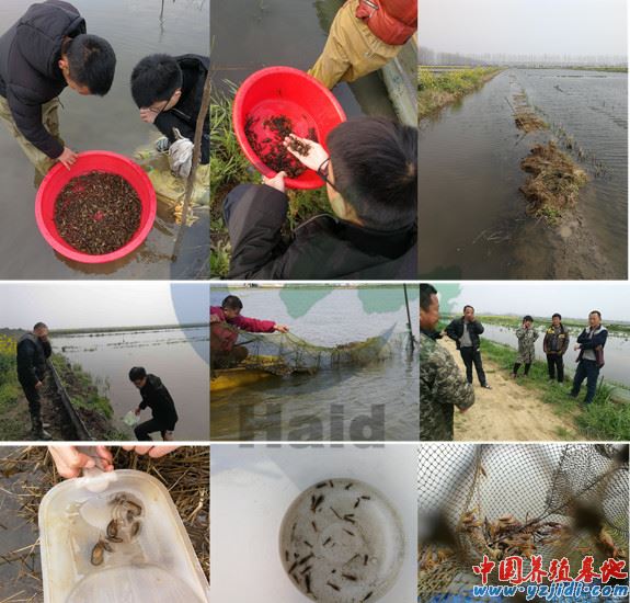 中國養殖基地 yzjidi.com