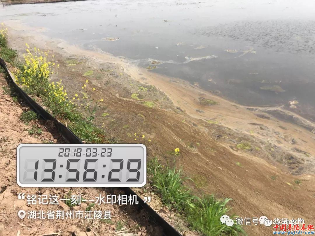 中國養殖基地 yzjidi.com