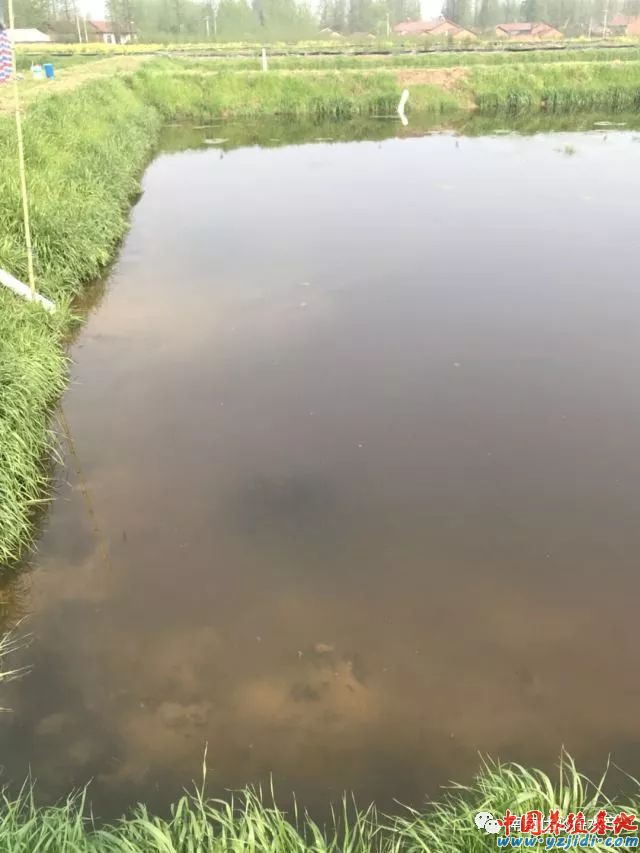 中國養殖基地 yzjidi.com