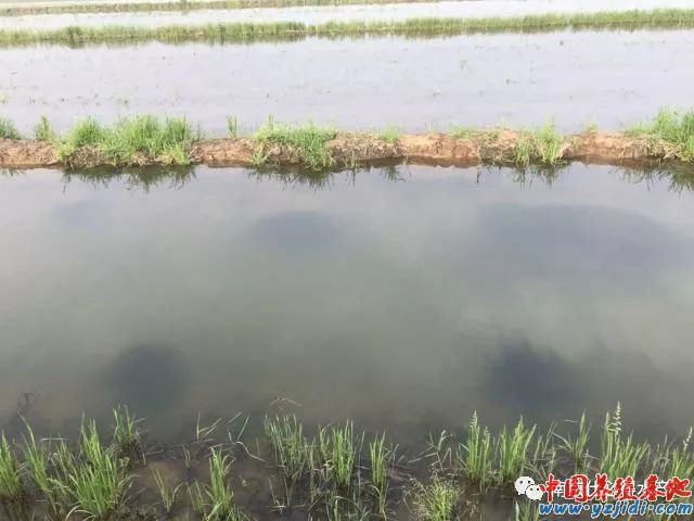 中國養殖基地 yzjidi.com