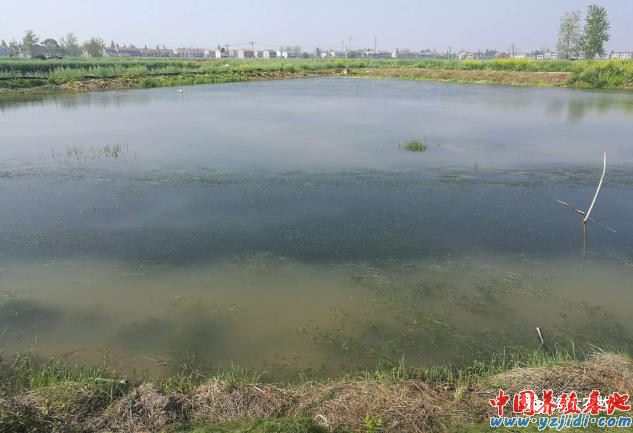 中國養殖基地 yzjidi.com