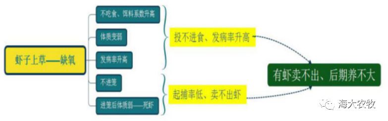 中國養殖基地 yzjidi.com
