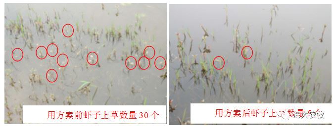 中國養殖基地 yzjidi.com