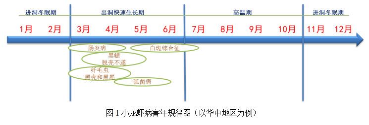 中國養殖基地 yzjidi.com