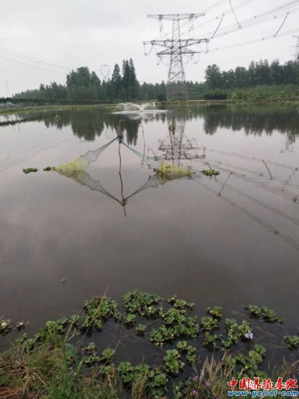 中國養殖基地 yzjidi.com