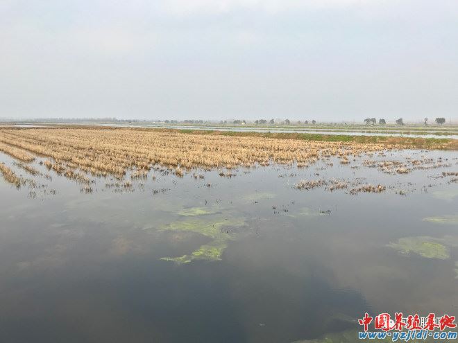中國養殖基地 yzjidi.com