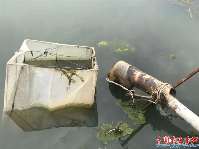 中國養殖基地 yzjidi.com