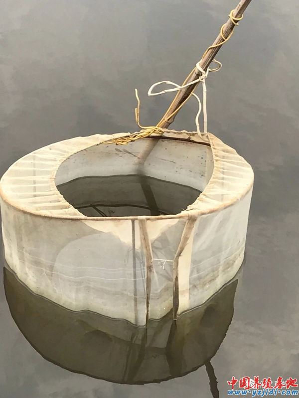 中國養殖基地 yzjidi.com