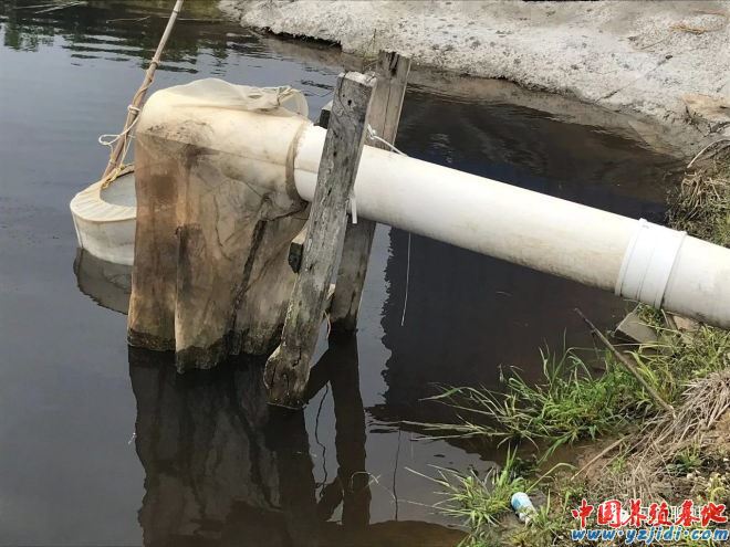 中國養殖基地 yzjidi.com