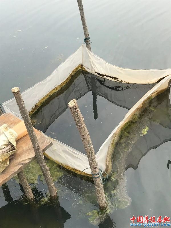 中國養殖基地 yzjidi.com