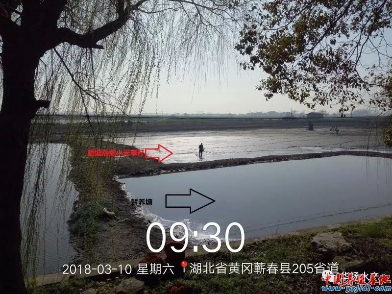 中國養殖基地 yzjidi.com