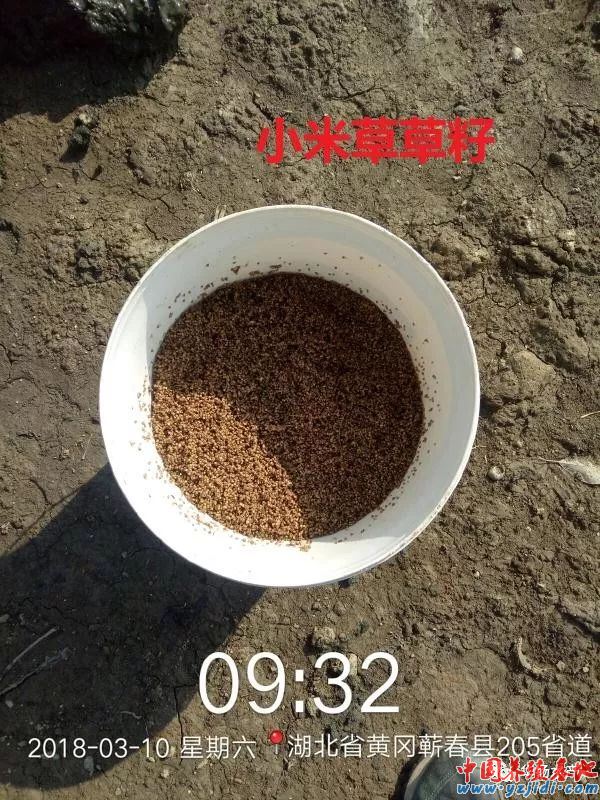 中國養殖基地 yzjidi.com