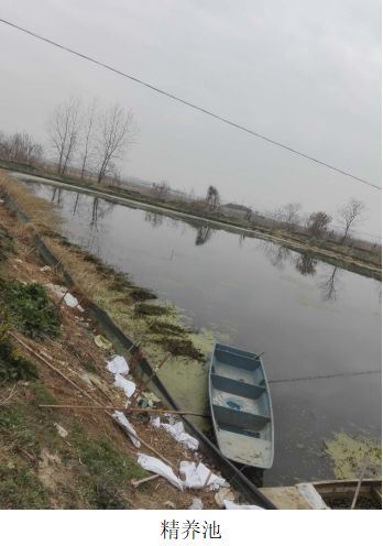 中國養殖基地 yzjidi.com