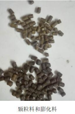 中國養殖基地 yzjidi.com