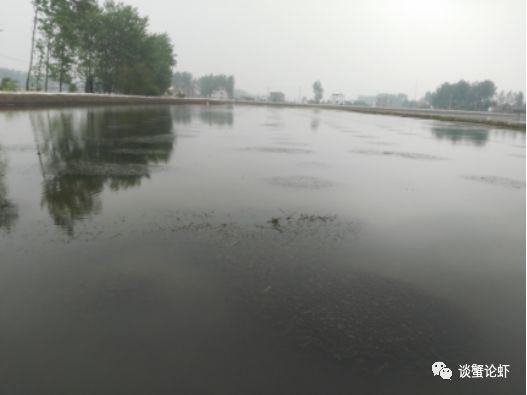 中國養殖基地 yzjidi.com
